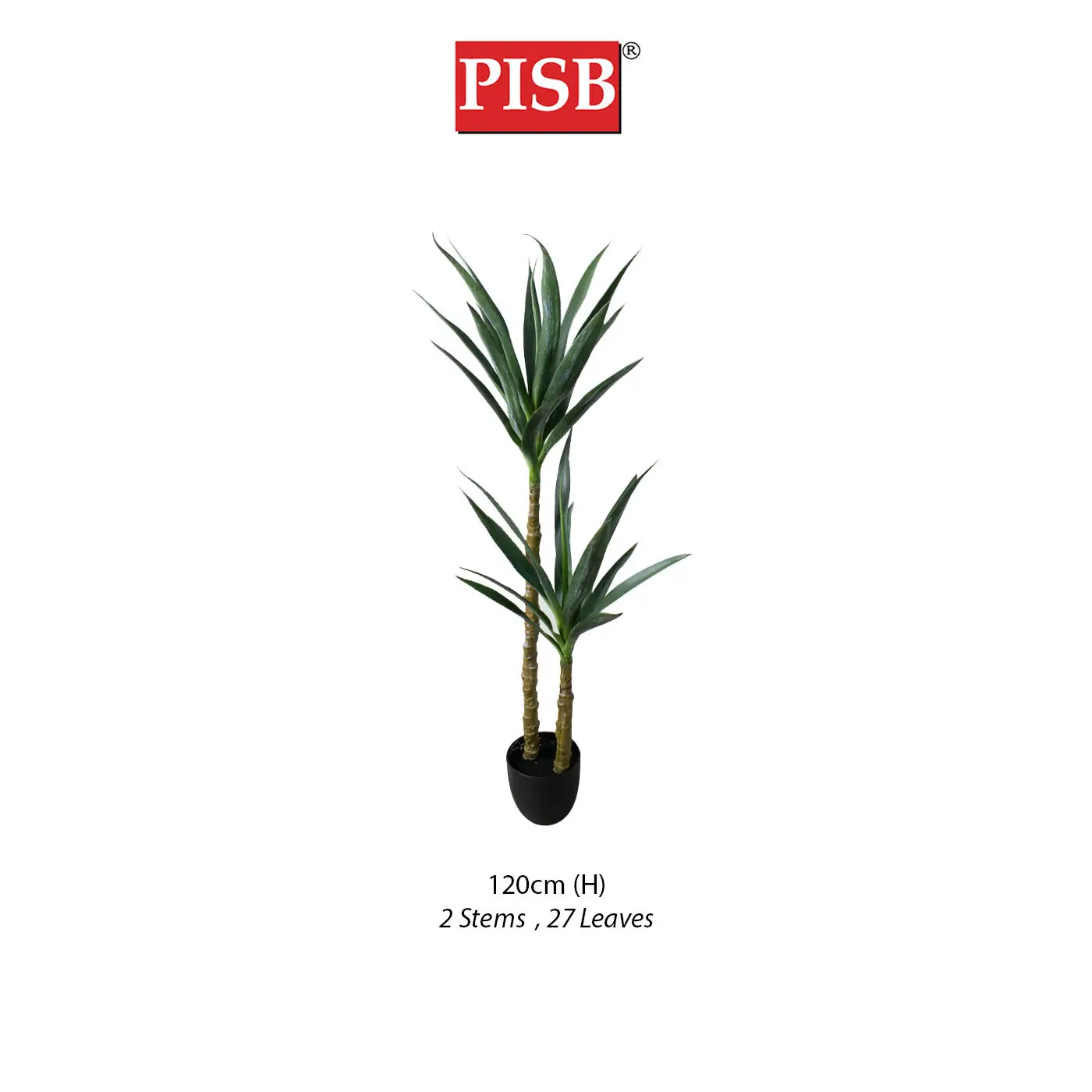 S2054/55/56 120/140/160CM Yucca Tree - Image 3