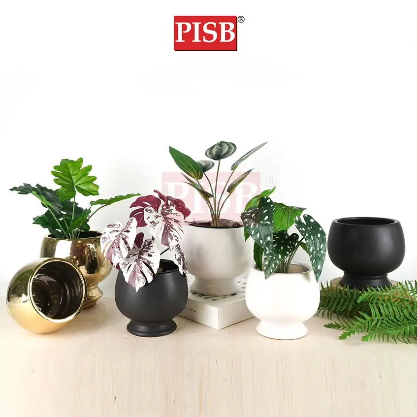 7097/98 White/Black/Gold Ceramic Vase Tree Flower Pot Pasu Seramik Pasu Bunga Bonsai High Quality Vase Home Decor Vase - Image 2