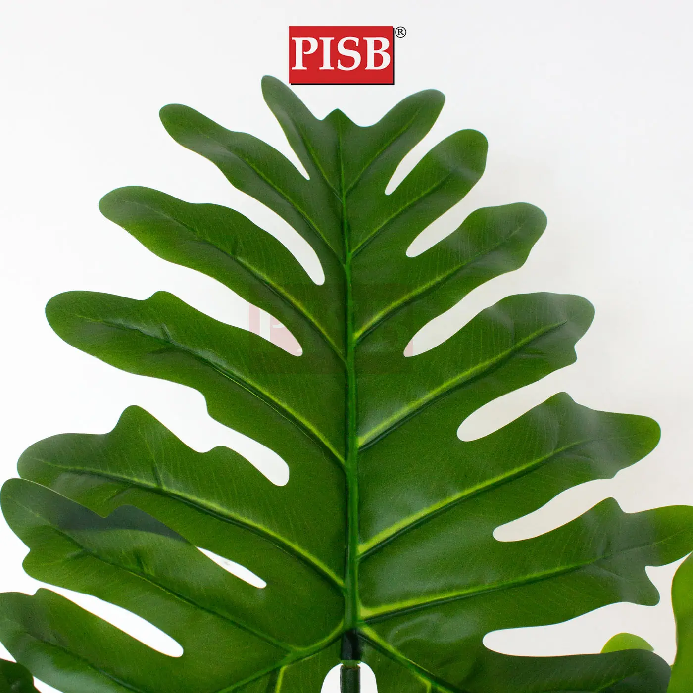 S2061/62/63/64/65/66 Philodendron Tree 80/110/130/140/160/180CM 8/11/13/14 Leaves - Image 2