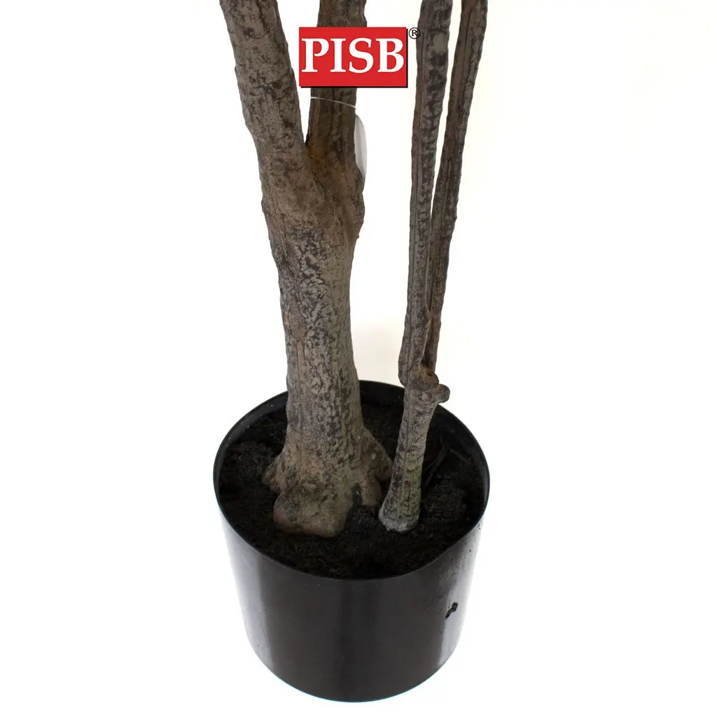 S2046/47/48 Dracaena Dragon Tree 120/160/180CM 117/170/234 Leaves - Image 4