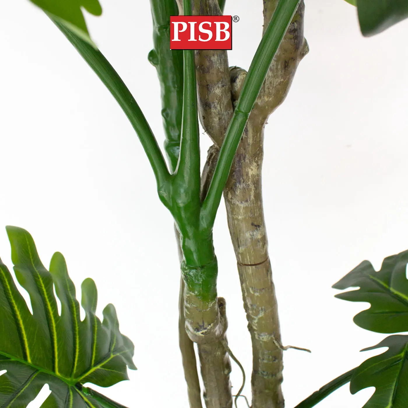 S2061/62/63/64/65/66 Philodendron Tree 80/110/130/140/160/180CM 8/11/13/14 Leaves - Image 3