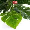 0275-0460 85-115CM Monstera Deliciosa/Watermelon Tree