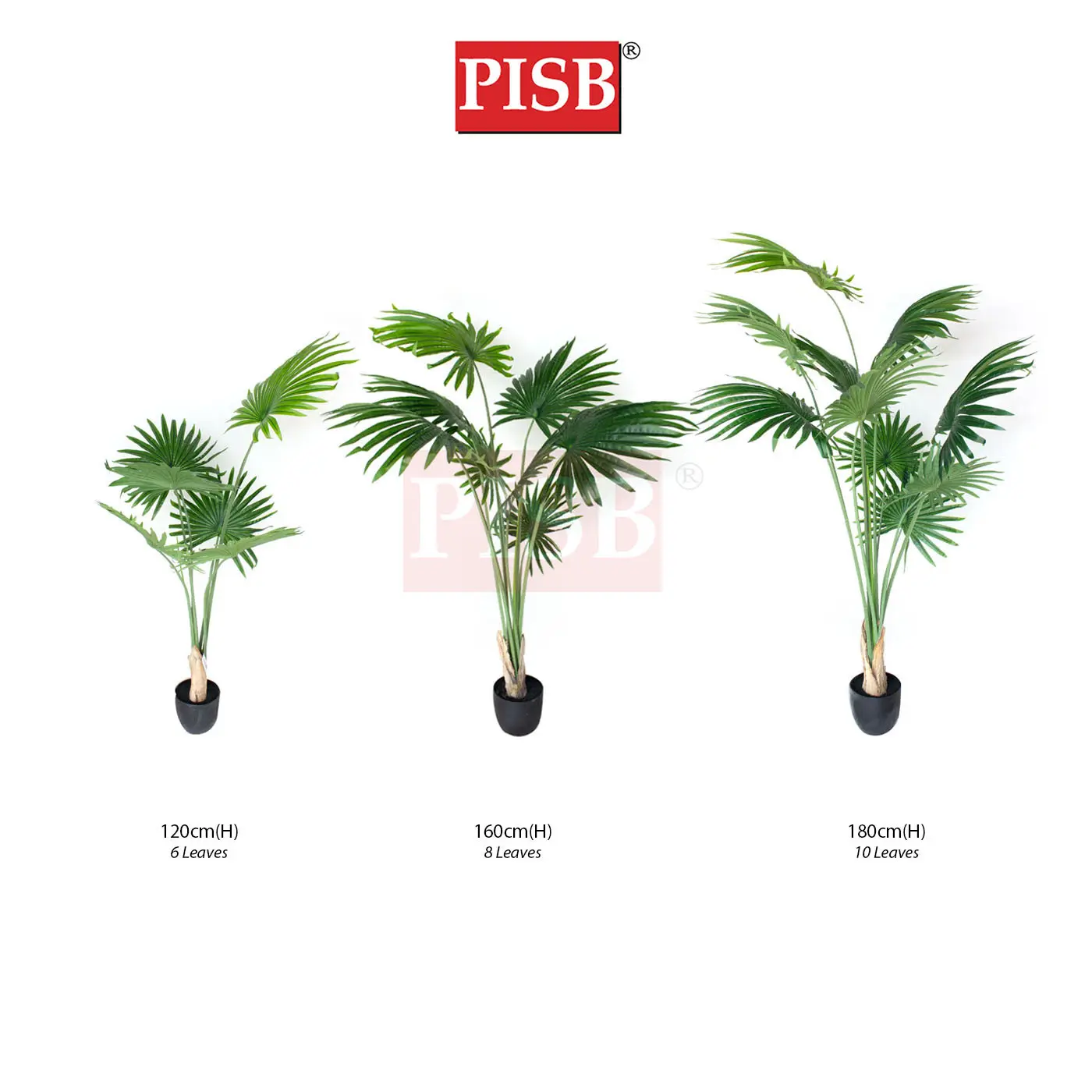 S2073/74/75 California Fan Palm Tree 120/160/180CM 6/8/10 Leaves