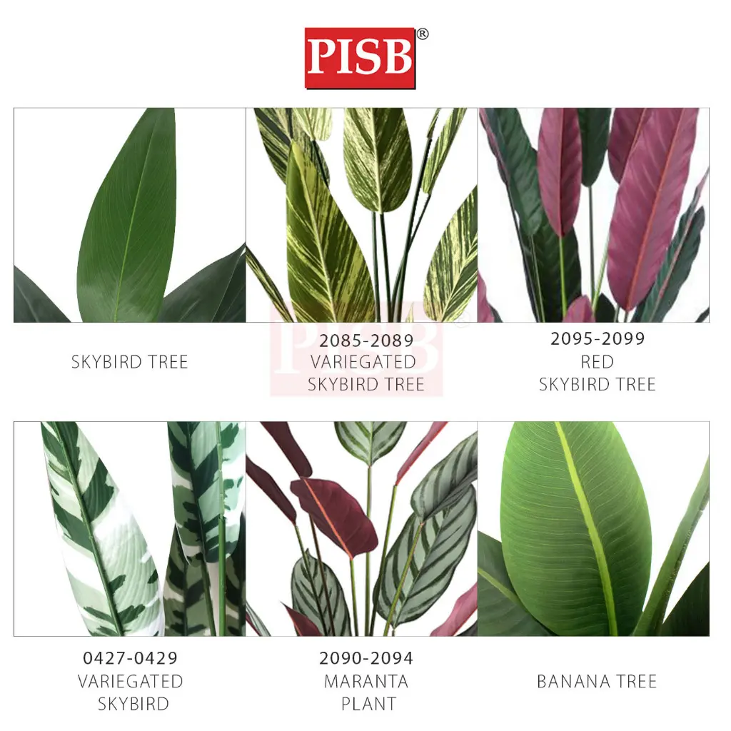 *READY STOK* Premium Skybird Tree Banana Tree Red Skybird Variegated Maranta Plant Pokok Hiasan Viral Artificial Plant - Image 4