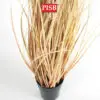 2117/18/19/20 Natural Dried Blush Pampas Grass In Pot