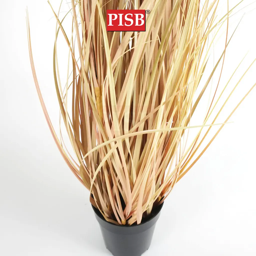 2117/18/19/20 Natural Dried Blush Pampas Grass In Pot - Image 3