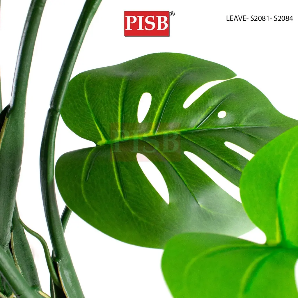 S2016/17/18 Monstera Tree 80/110/140CM 8/11/14 Leaves - Image 5