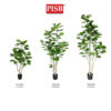 S2040/41/42 Money Tree 110/160/180CM 51/100/137 Leaves