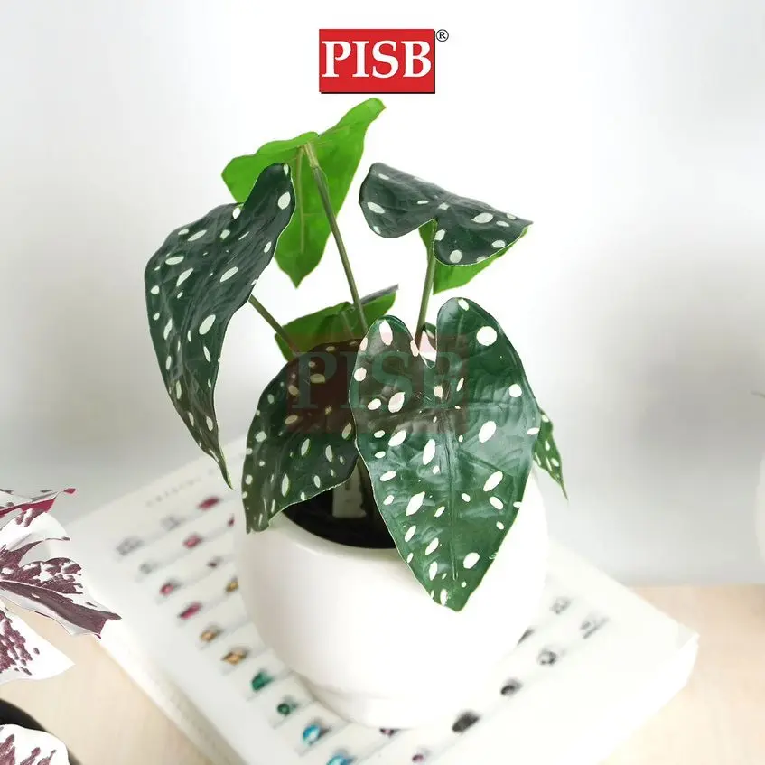 3048-57 Mini Plant/Artificial Plant/Mini Bonsai/Artificial Tree/Pokok Hiasan Viral/Pokok Monstera/Home Decor Plant - Image 4