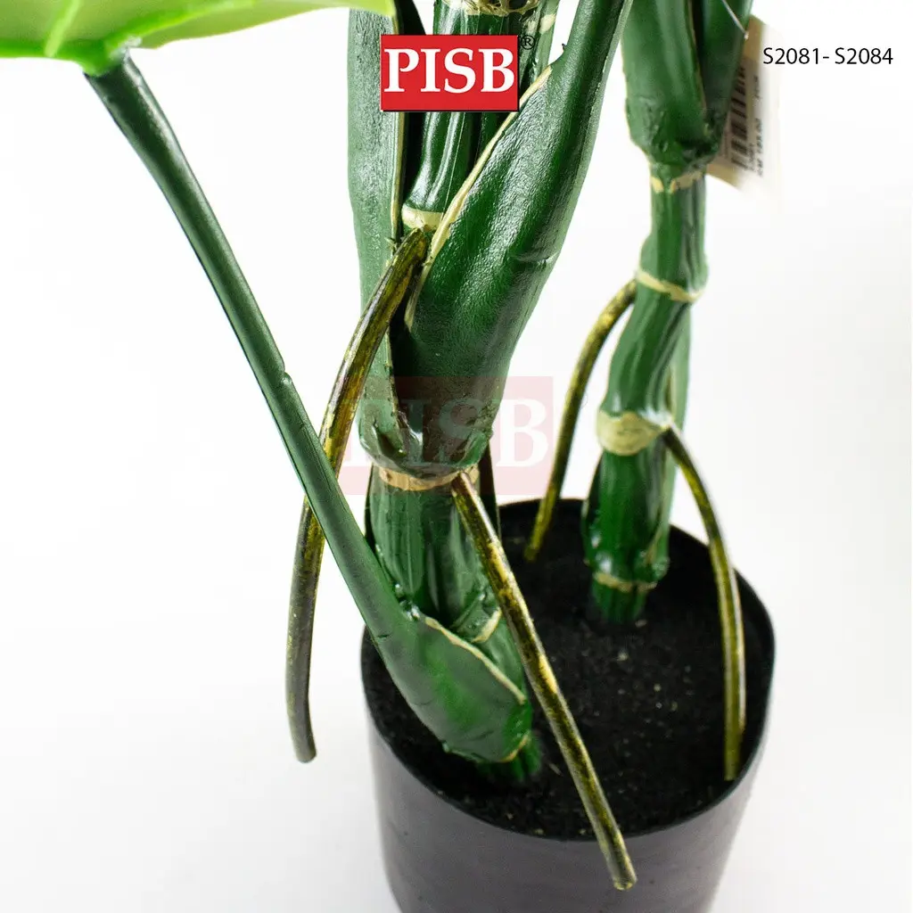 S2016/17/18 Monstera Tree 80/110/140CM 8/11/14 Leaves - Image 6