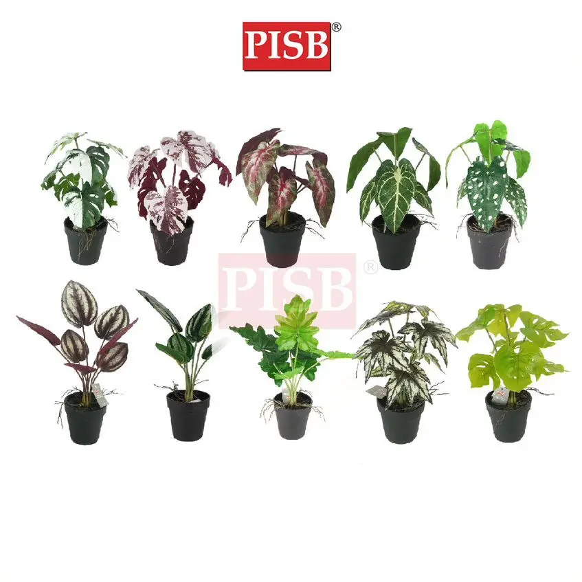 3048-57 Mini Plant/Artificial Plant/Mini Bonsai/Artificial Tree/Pokok Hiasan Viral/Pokok Monstera/Home Decor Plant