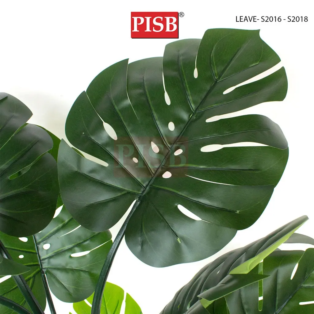 S2016/17/18 Monstera Tree 80/110/140CM 8/11/14 Leaves - Image 4