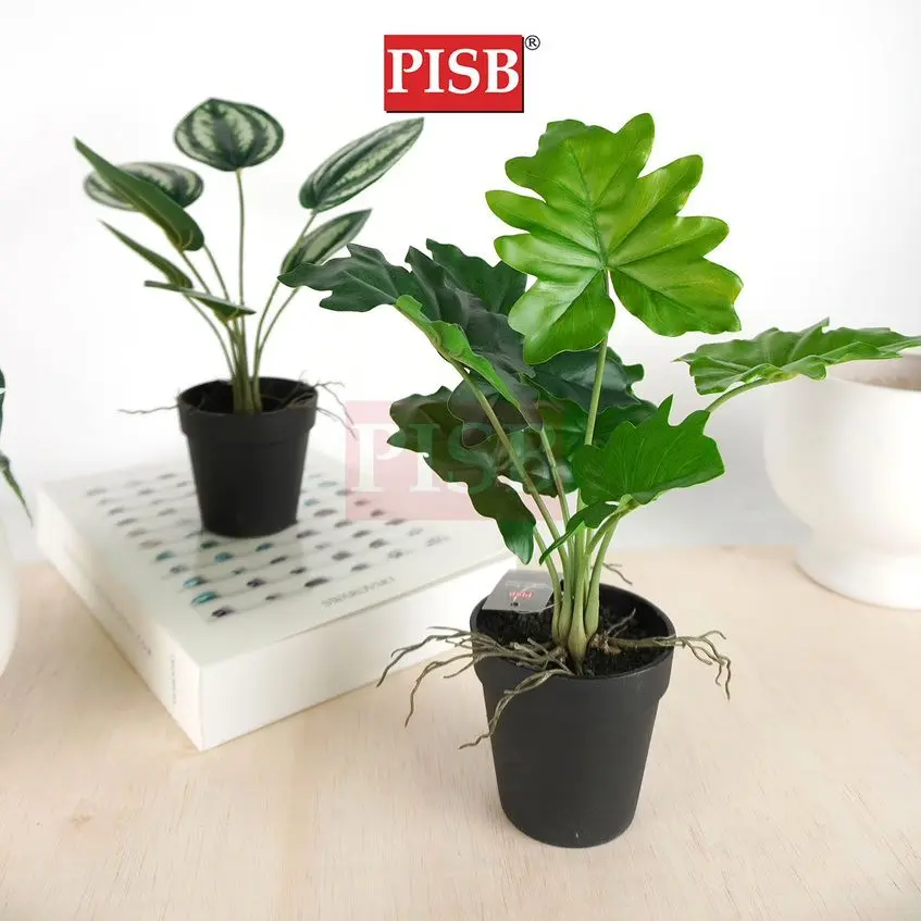 3048-57 Mini Plant/Artificial Plant/Mini Bonsai/Artificial Tree/Pokok Hiasan Viral/Pokok Monstera/Home Decor Plant - Image 5