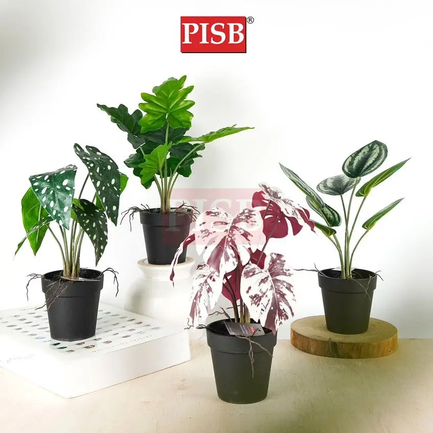3048-57 Mini Plant/Artificial Plant/Mini Bonsai/Artificial Tree/Pokok Hiasan Viral/Pokok Monstera/Home Decor Plant - Image 2