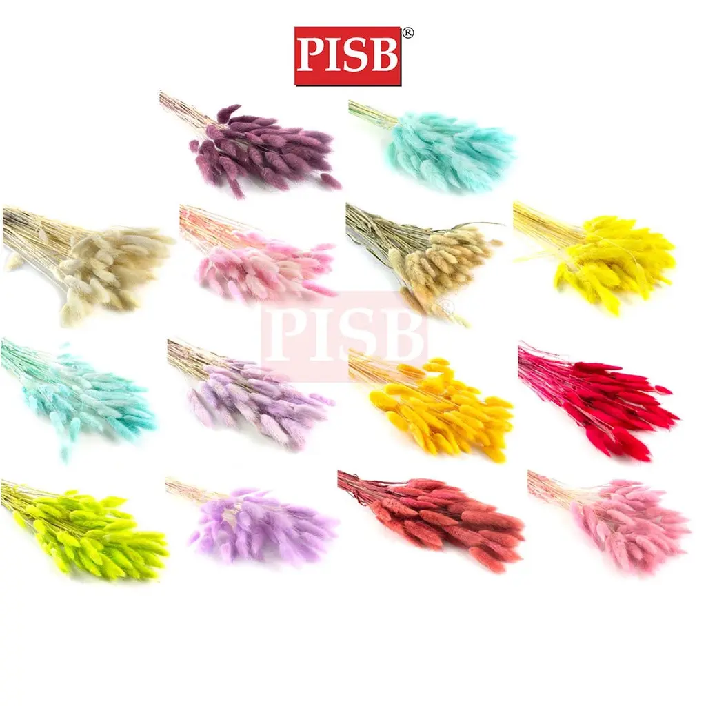 HH2104 50+/-PCS Natural Dried Pampas Grass Rabbit Tail