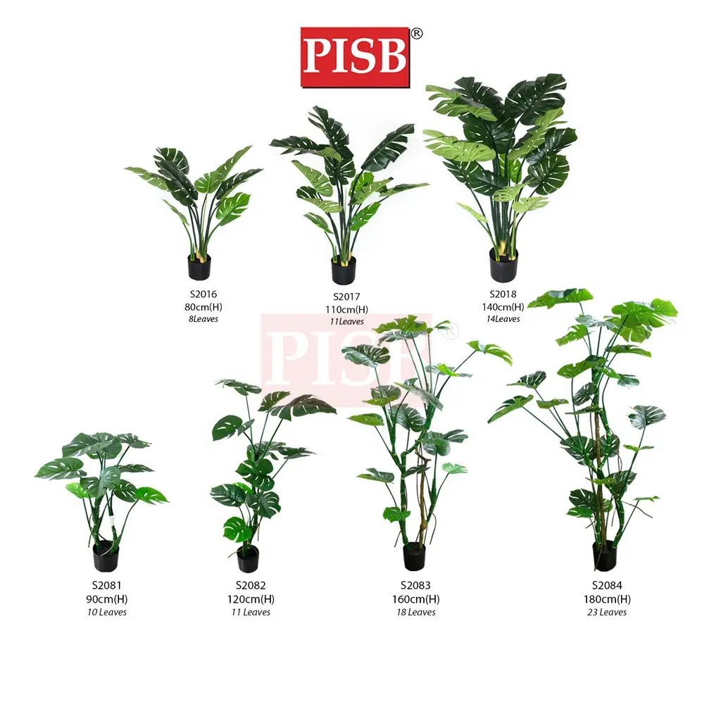 S2016/17/18 Monstera Tree 80/110/140CM 8/11/14 Leaves