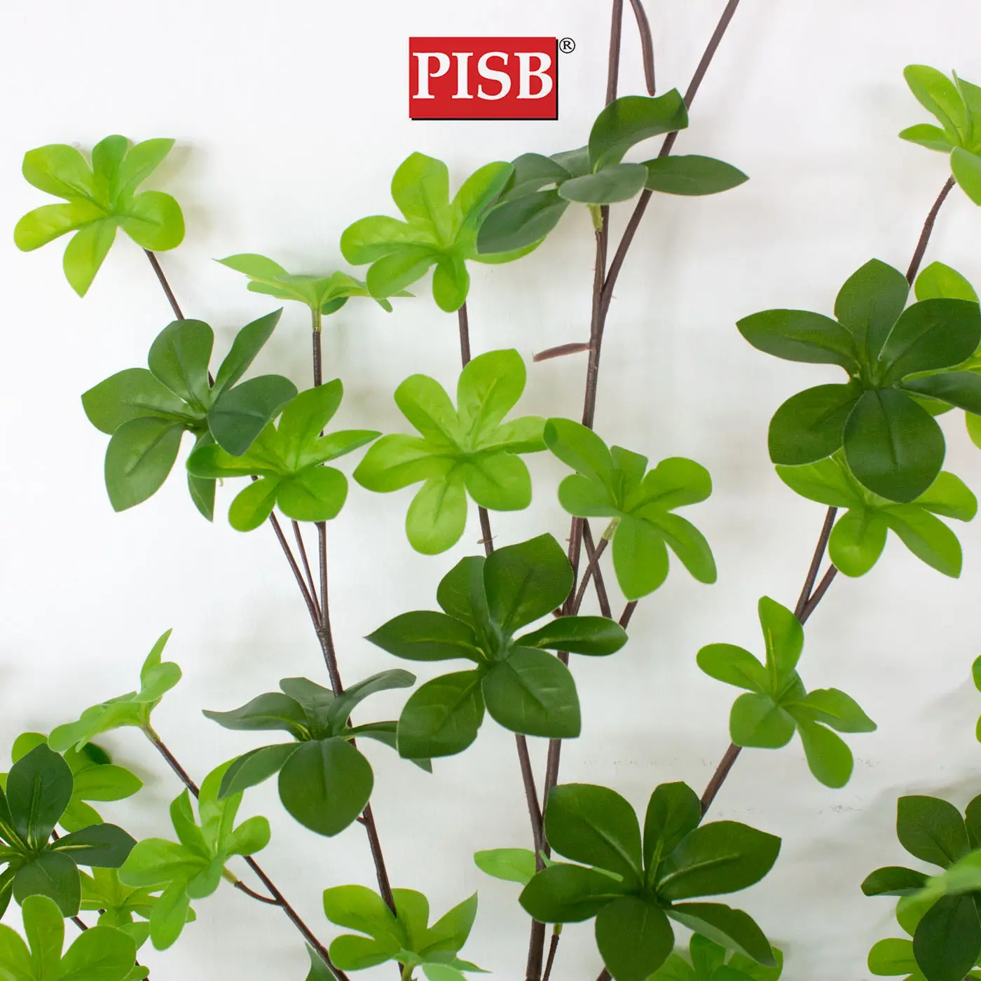 T190344/45/46/47/48 Artificial Enkianthus Perulatus 120/130/140/150/155CM - Image 4