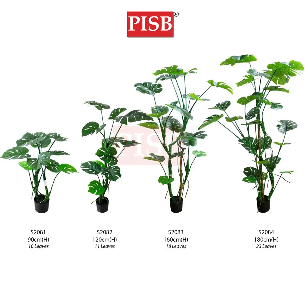 S2016/17/18 Monstera Tree 80/110/140CM 8/11/14 Leaves - Image 3
