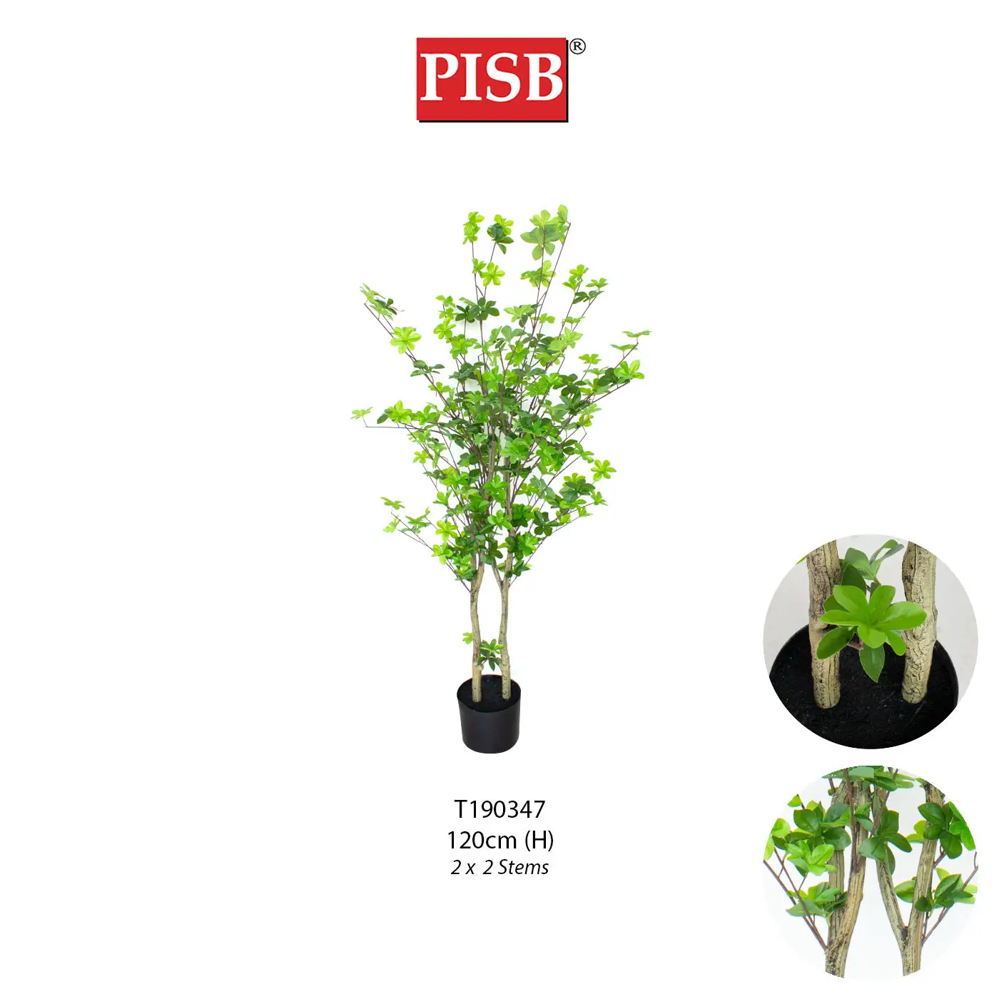 T190344/45/46/47/48 Artificial Enkianthus Perulatus 120/130/140/150/155CM - Image 8