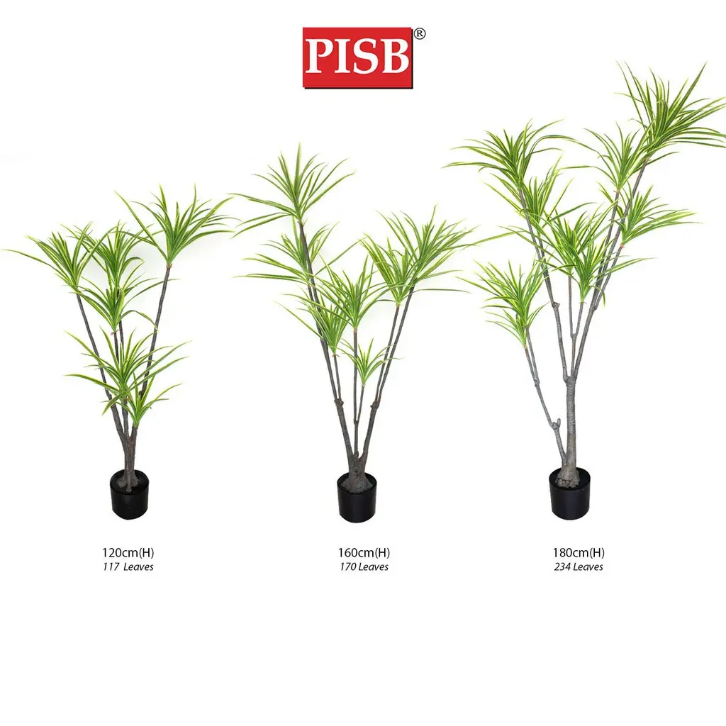 S2046/47/48 Dracaena Dragon Tree 120/160/180CM 117/170/234 Leaves