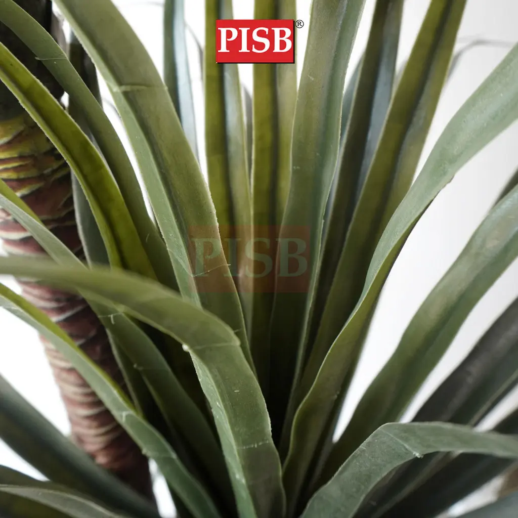 0634/0635 150/180CM 3 Head Dragon Tree - Image 2