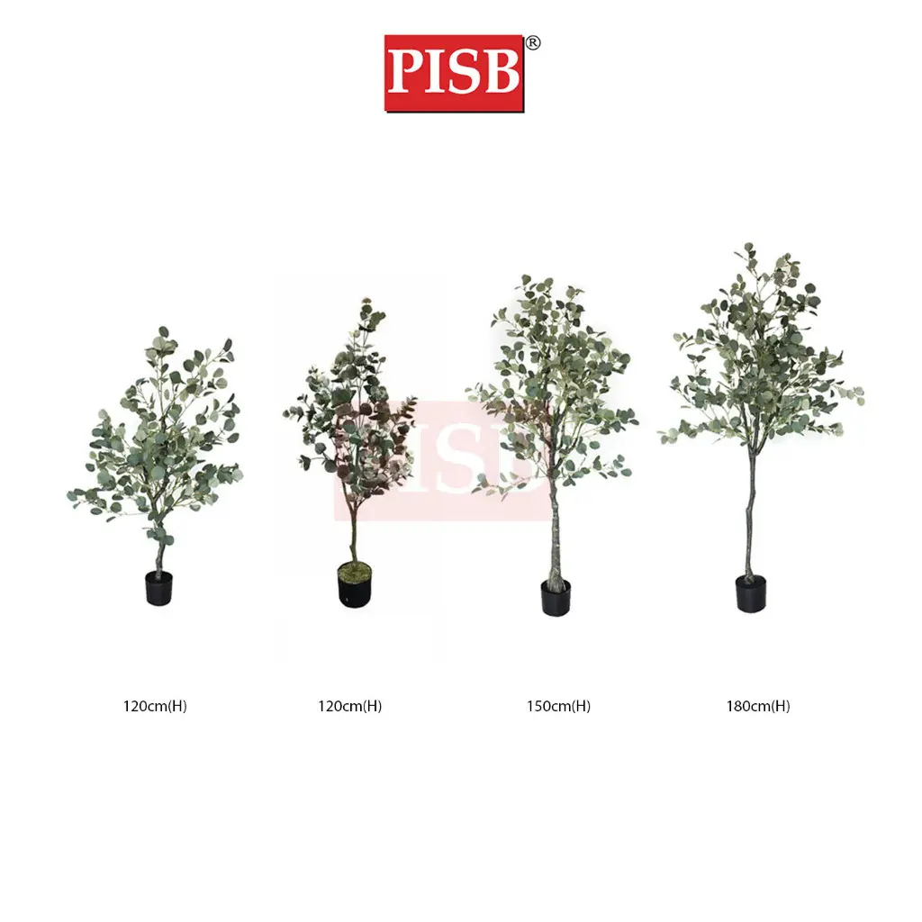 S2013/14/15/0432 Eucalyptus Tree Money Plant 120/150/180CM
