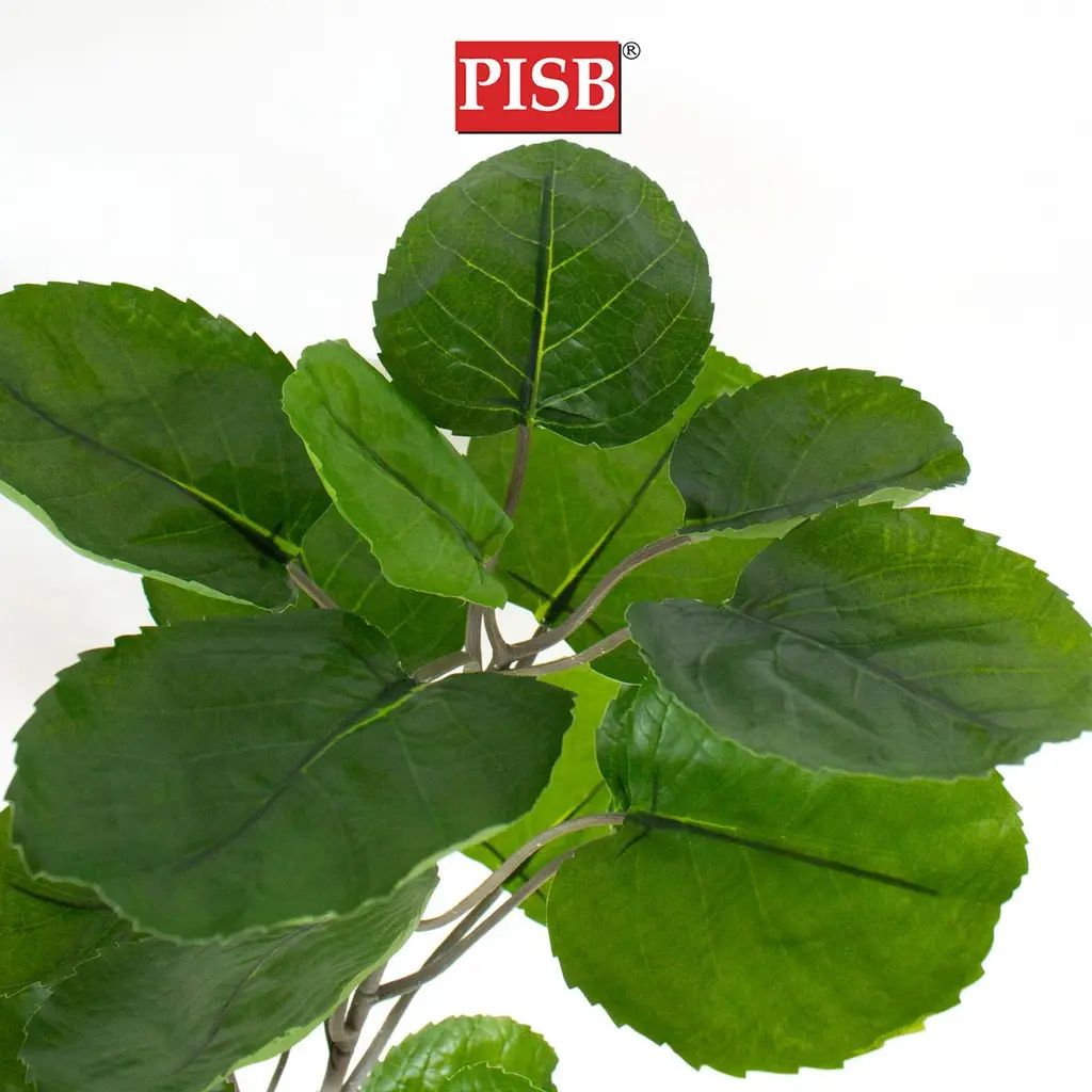 S2040/41/42 Money Tree 110/160/180CM 51/100/137 Leaves - Image 2