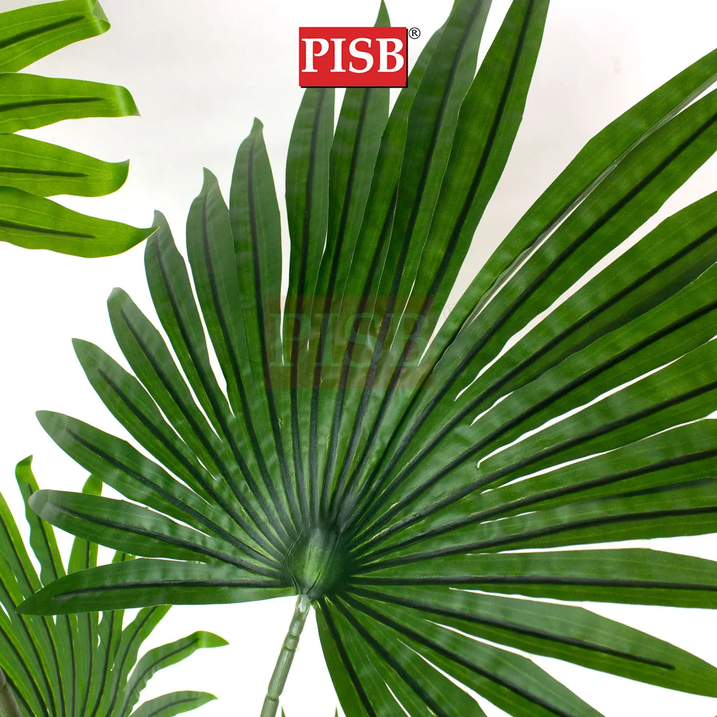 S2073/74/75 California Fan Palm Tree 120/160/180CM 6/8/10 Leaves - Image 2