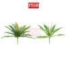 HH2112/13 35/38CM  9/12 Heads Boston Leaf