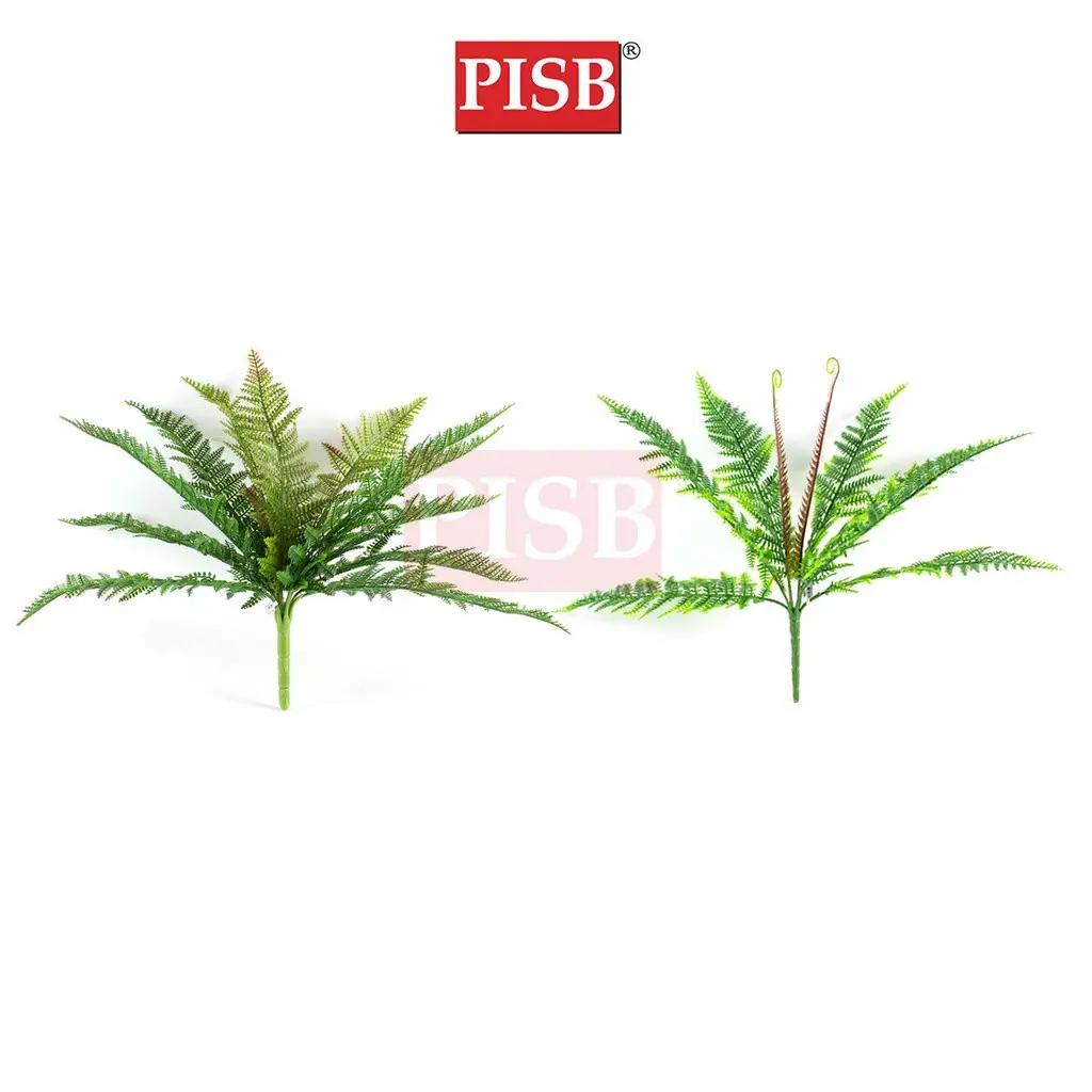 HH2112/13 35/38CM  9/12 Heads Boston Leaf