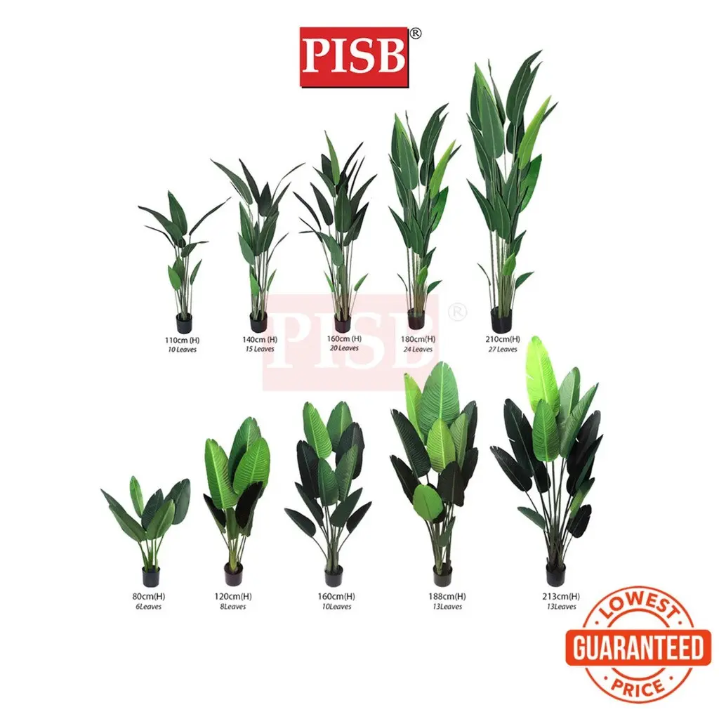 *READY STOK* Premium Skybird Tree Banana Tree Red Skybird Variegated Maranta Plant Pokok Hiasan Viral Artificial Plant - Image 2