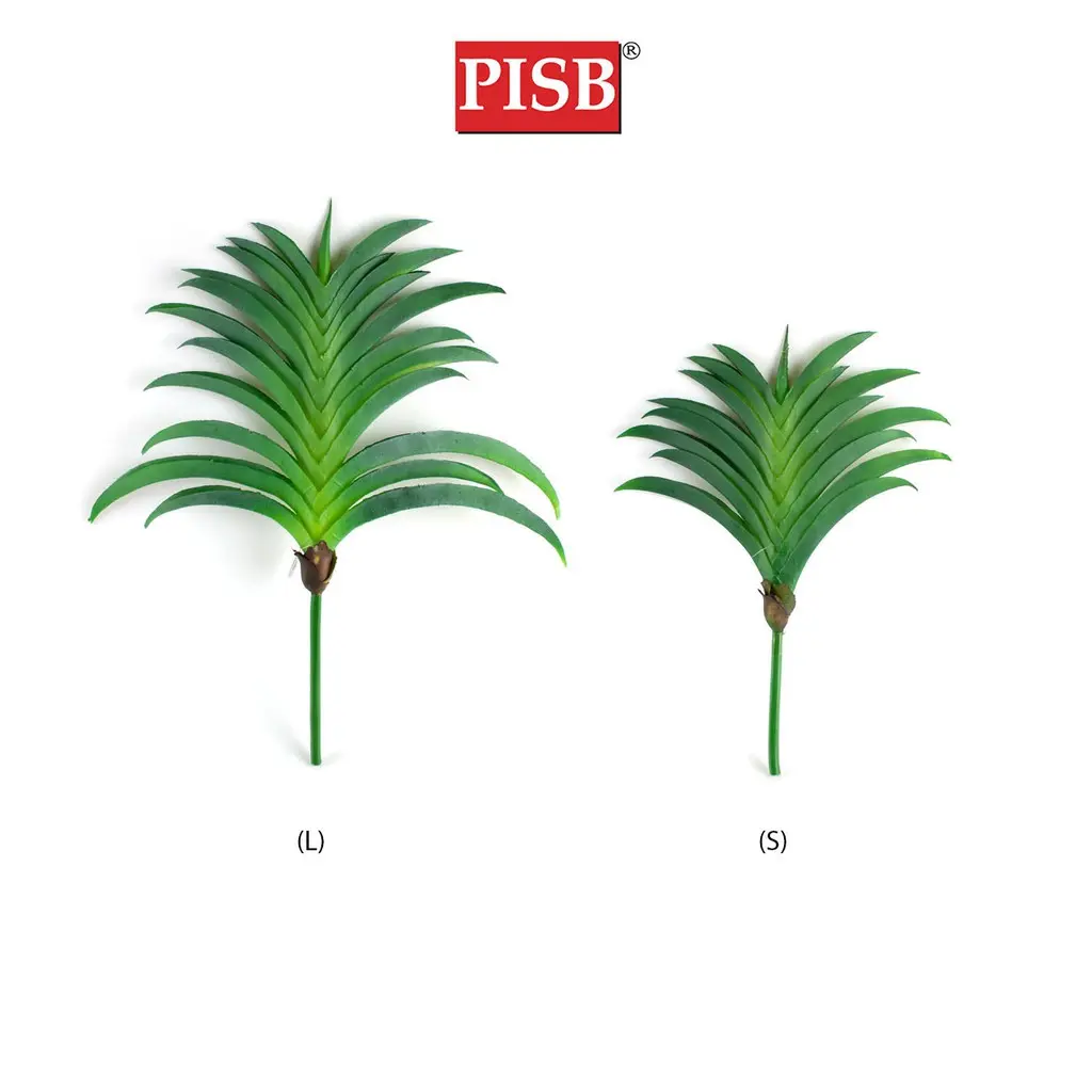 Q010383/84 Vanda Orchid Leaf