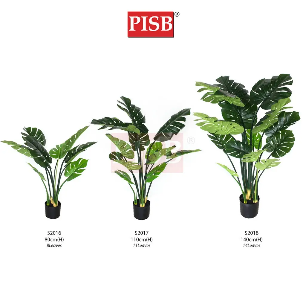 S2016/17/18 Monstera Tree 80/110/140CM 8/11/14 Leaves - Image 2