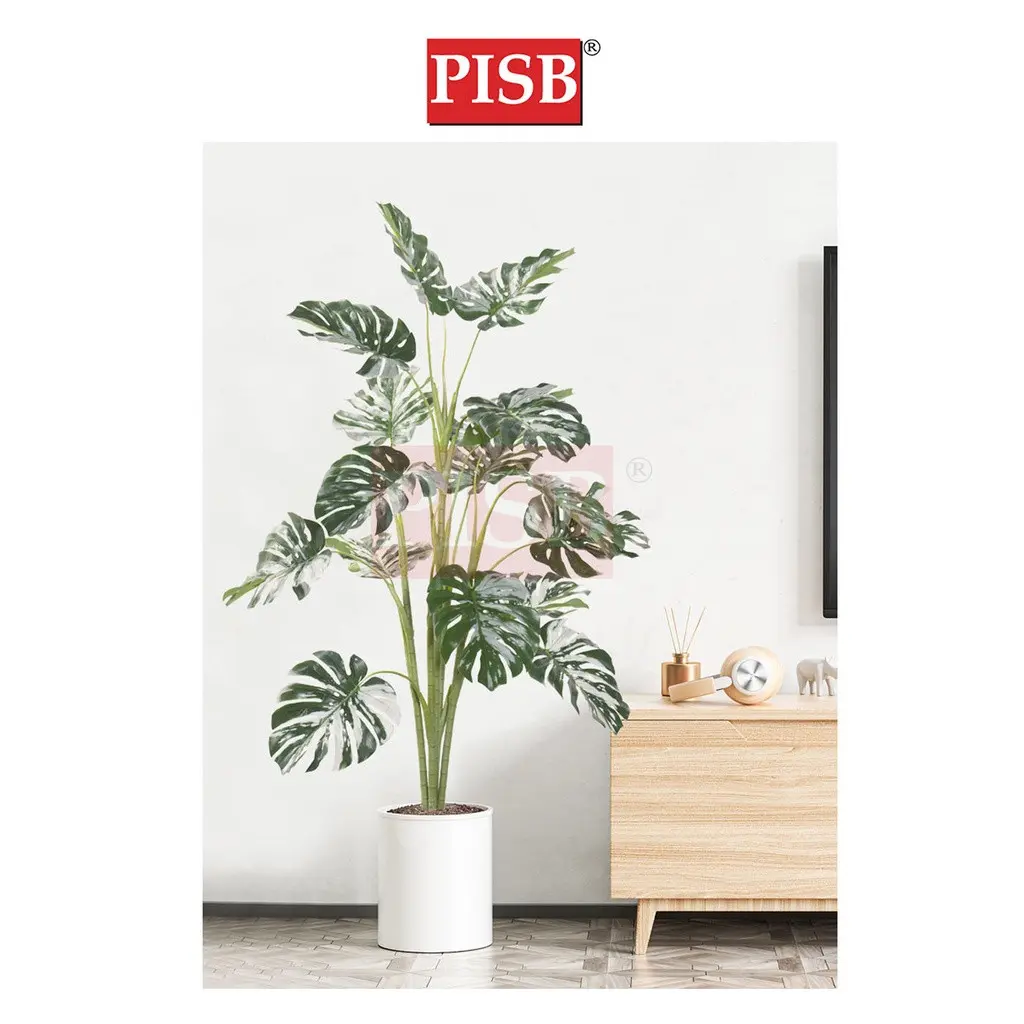 2100-16 100-160CM Variegated White Monstera Deliciosa / Taro Tree - Image 3