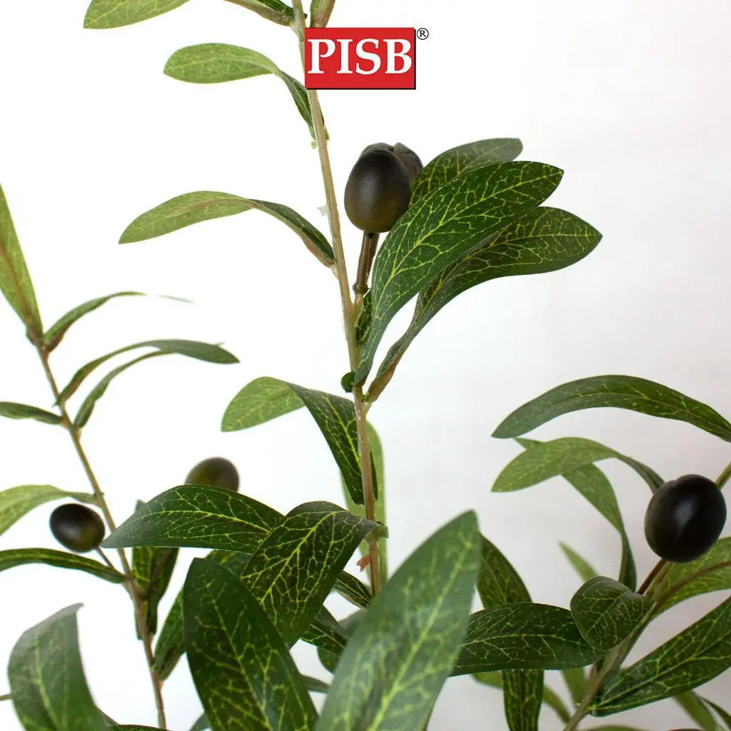 S2051/52/53/632/633 120/150/160/170CM Olive Tree - Image 2