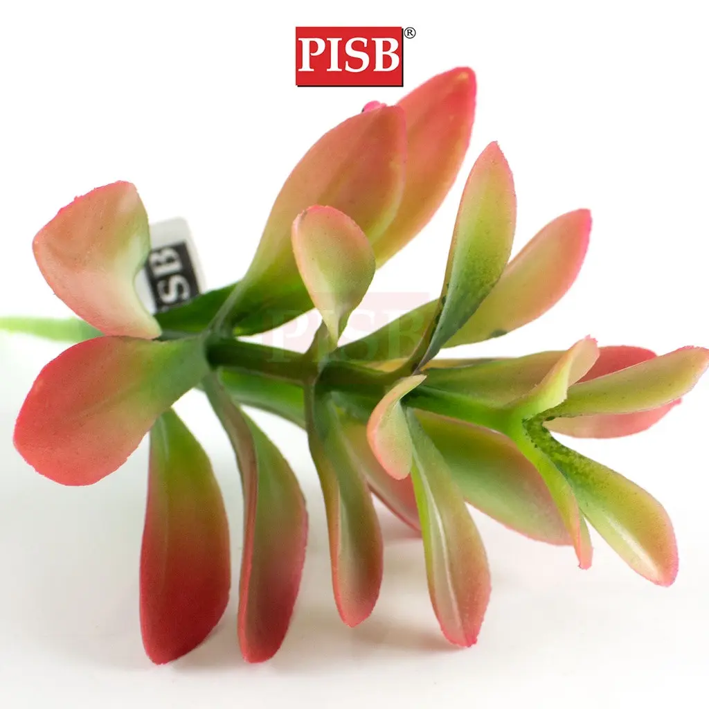 HH2119 16CM Artificial Succulent Stalk / Fake Leaves / Daun Sukulen Tiruan / Home Decoration & Wedding - Image 2