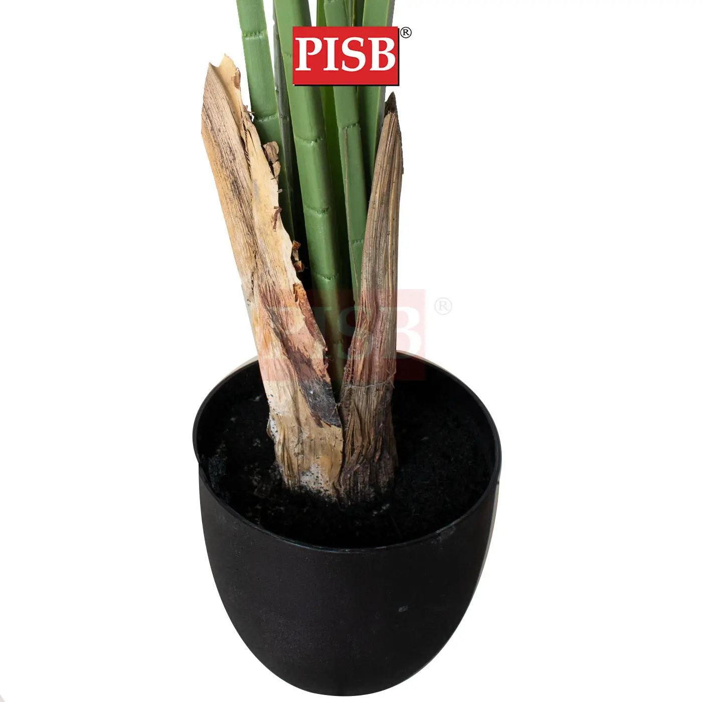 S2073/74/75 California Fan Palm Tree 120/160/180CM 6/8/10 Leaves - Image 3