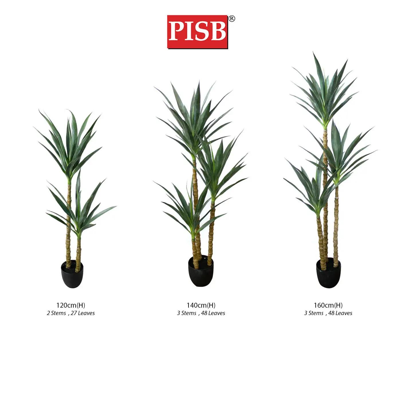 S2054/55/56 120/140/160CM Yucca Tree