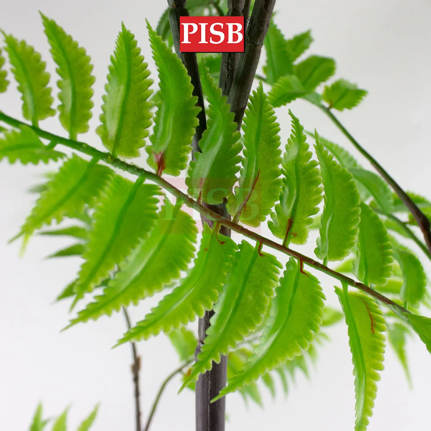 S2058/59/60 Fern Tree 120/140/160CM 54/75/96 Leaves - Image 2