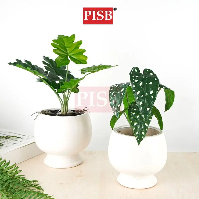 3048-57 Mini Plant/Artificial Plant/Mini Bonsai/Artificial Tree/Pokok Hiasan Viral/Pokok Monstera/Home Decor Plant - Image 3