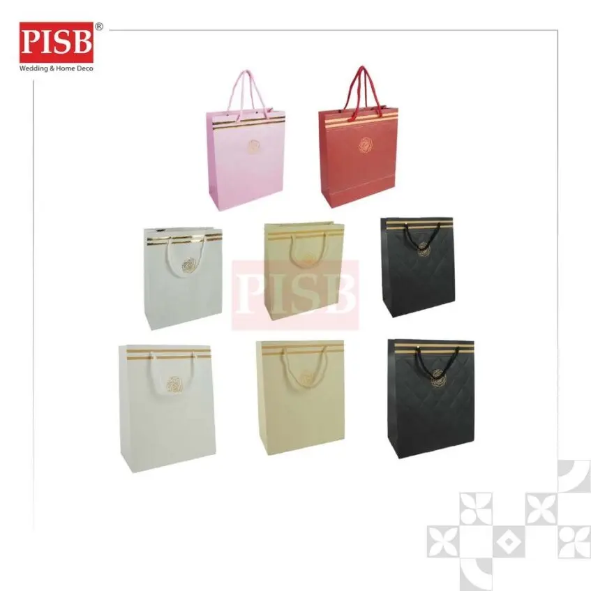 2126/27 (10Pcs/Pkt) Premium Design Paper Bag Gift Bag Retail Bag Colour Kraft Paper Bag Wedding Birthday Bag