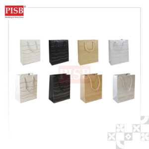 2167/68 (10Pcs/Pkt) Embossed Style Paper Bag Gift Bag Retail Bag Colour Kraft Paper Bag Beg Kertas Wedding Birthday Bag