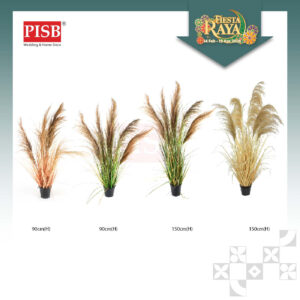 2117/18/19/20 Natural Dried Blush Pampas Grass In Pot