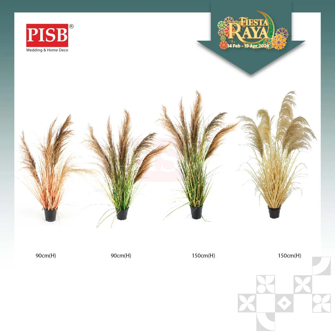 2117/18/19/20 Natural Dried Blush Pampas Grass In Pot