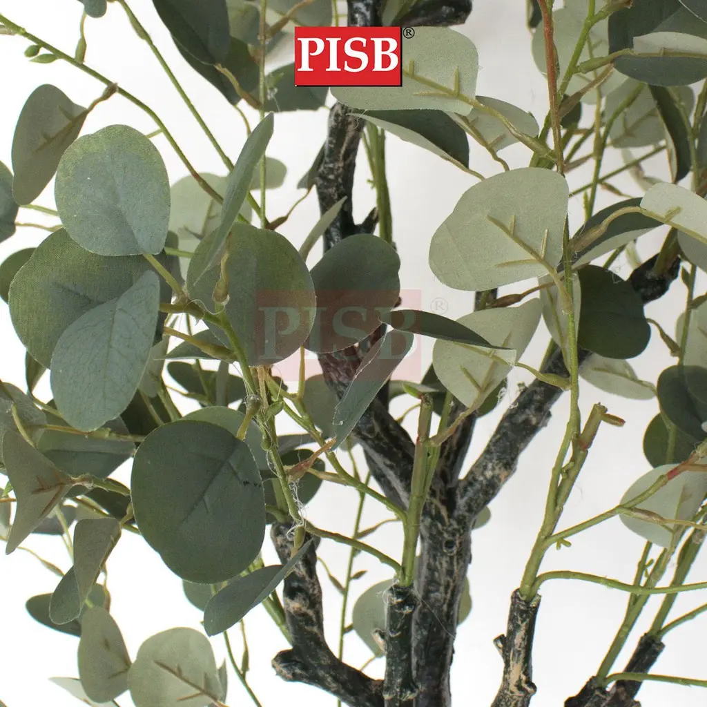 S2013/14/15/0432 Eucalyptus Tree Money Plant 120/150/180CM - Image 4