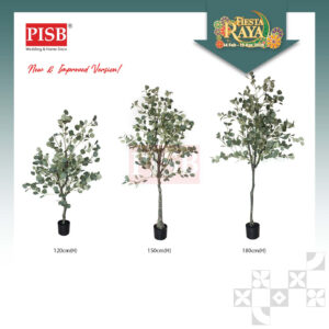 S2013/14/15/0432 Eucalyptus Tree Money Plant 120/150/180CM