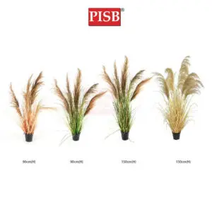 0416fa526b015cf0152c0258cffc46a8-1.jpeg 2117/18/19/20 Natural Dried Blush Pampas Grass In Pot