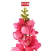 06e4bb99c33936cf79ce2c22da051201-1.jpeg 2209 84CM Delphinium Spray Bush