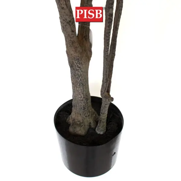 S2046/47/48 Dracaena Dragon Tree 120/160/180CM 117/170/234 Leaves