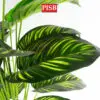 15077f83199ca68091da31faf73299b8.jpeg 0275-0460 85-115CM Monstera Deliciosa/Watermelon Tree